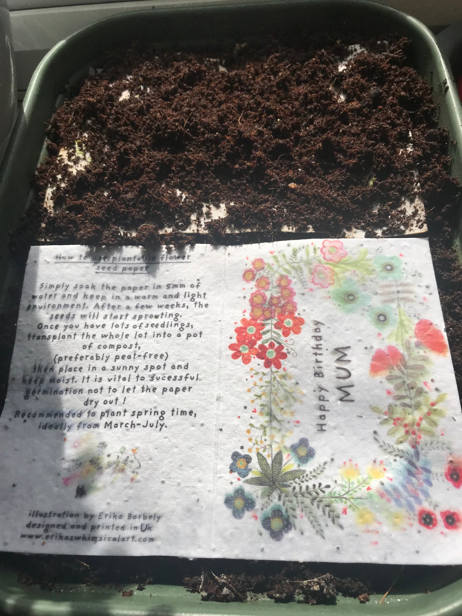 Seed Card with floral design and text on a tray with soil