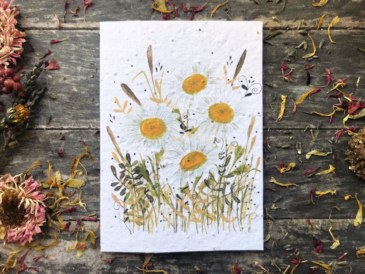 Plantable Daisy Seed Paper Card: Watercolor Floral Art - Erika's Whimsical Art