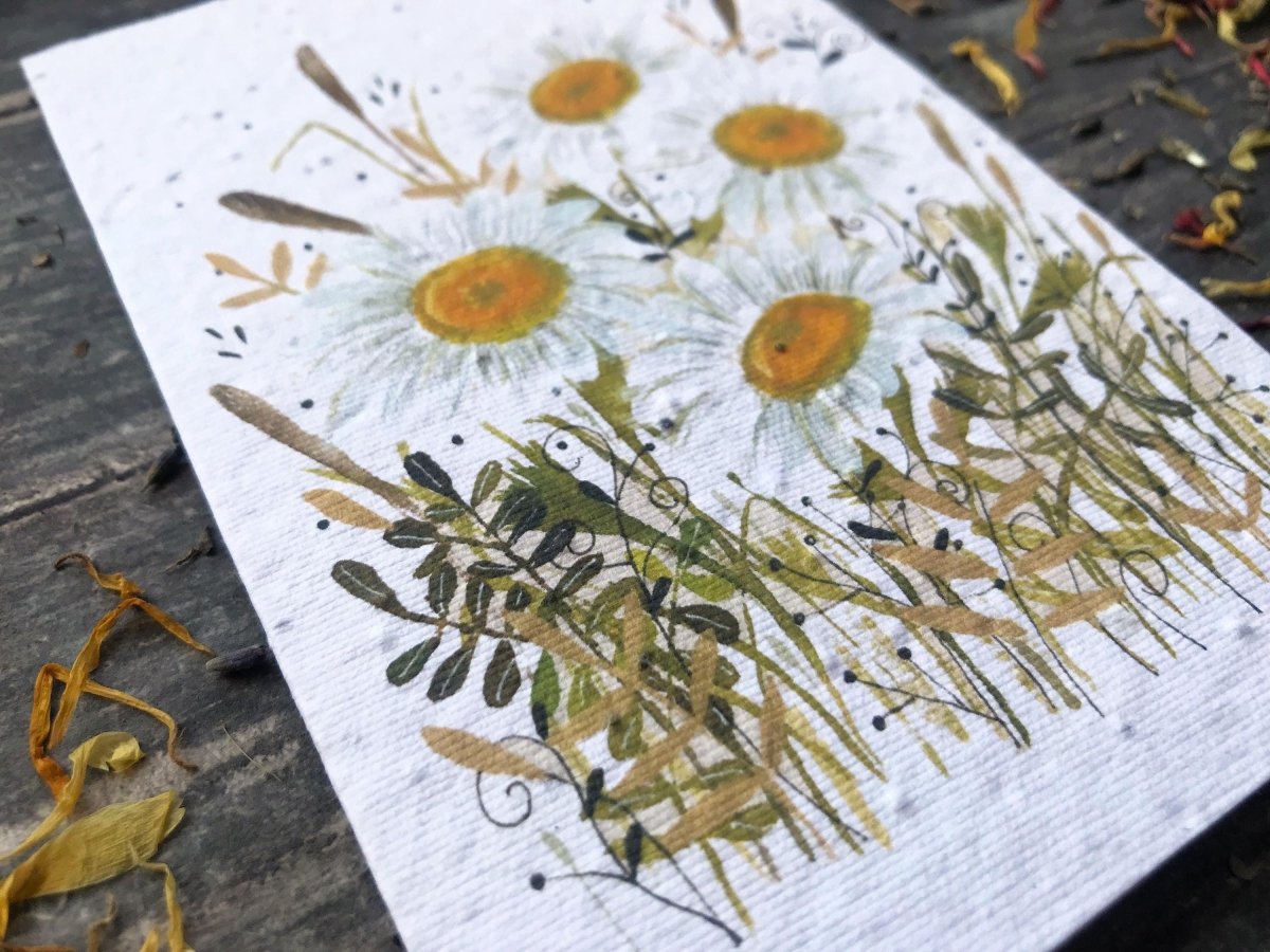 Plantable Daisy Seed Paper Card: Watercolor Floral Art - Erika's Whimsical Art