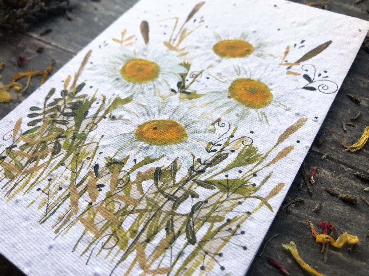 Plantable Daisy Seed Paper Card: Watercolor Floral Art - Erika's Whimsical Art