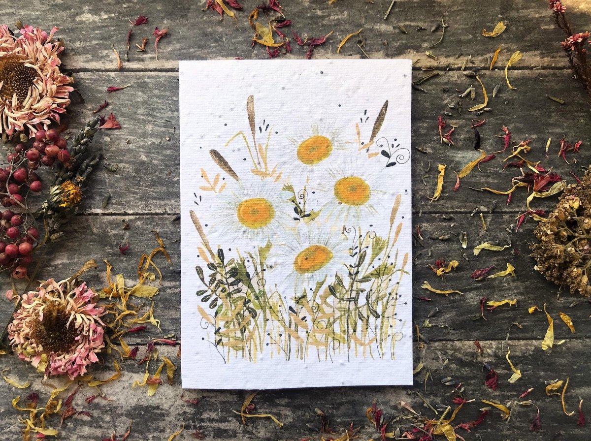 Plantable Daisy Seed Paper Card: Watercolor Floral Art - Erika's Whimsical Art