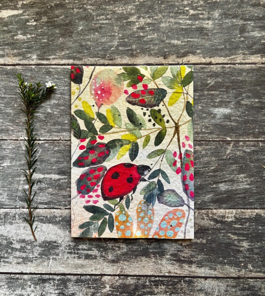 Plantable Ladybird Greeting Card – Wildflower Seed Paper, Eco - Friendly - Erika's Whimsical Art