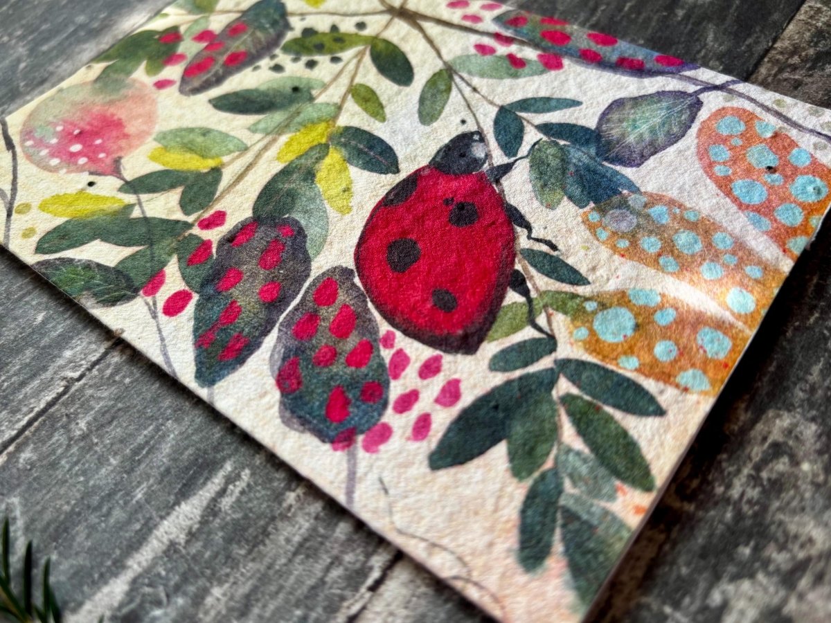 Plantable Ladybird Greeting Card – Wildflower Seed Paper, Eco - Friendly - Erika's Whimsical Art