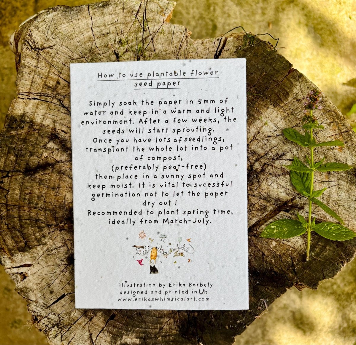 Plantable Seed Paper Birthday Card: Bee & Floral Design - Erika's Whimsical Art