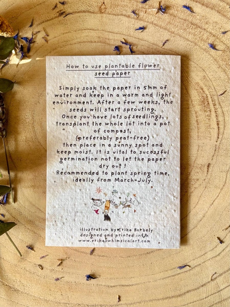 Plantable Seed Paper Birthday Card: Bee & Flower Design - Erika's Whimsical Art