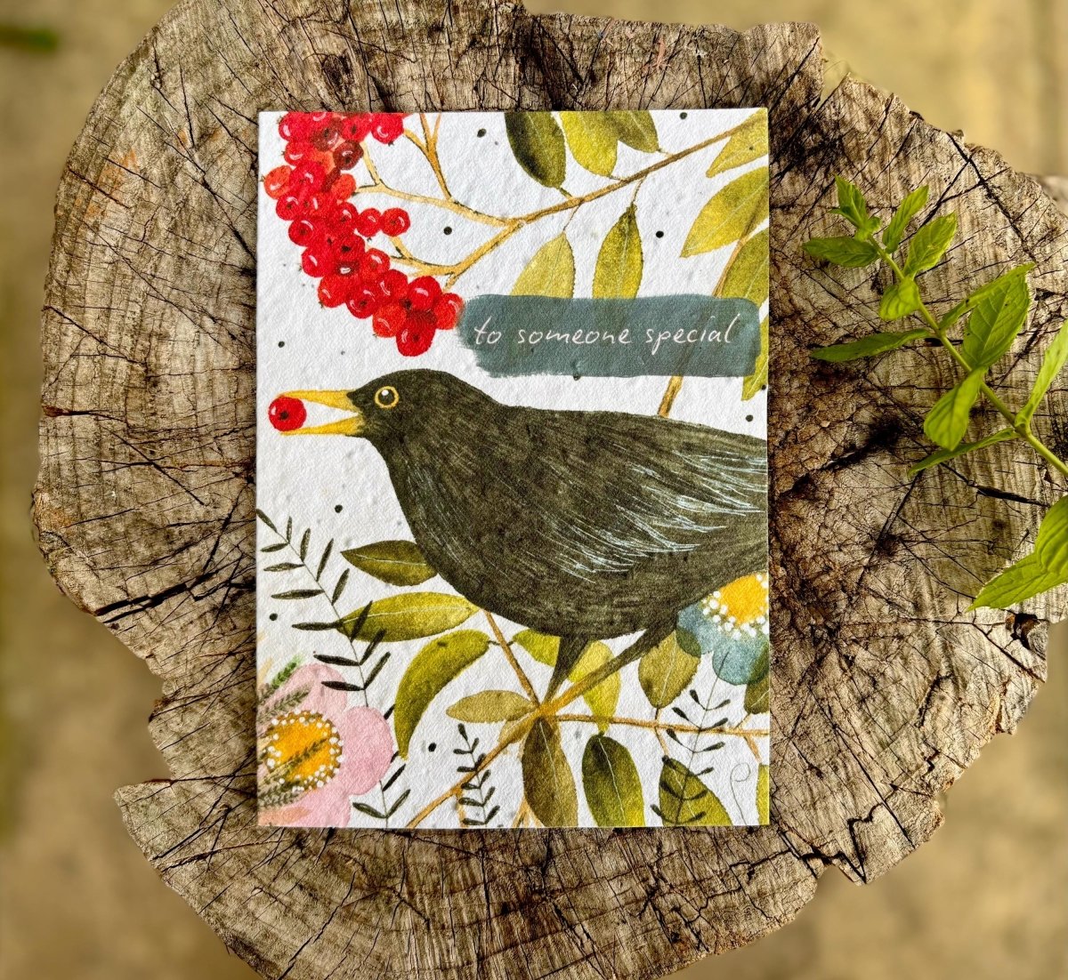 Plantable Seed Paper Birthday Card: Black Bird Flower Design - Erika's Whimsical Art