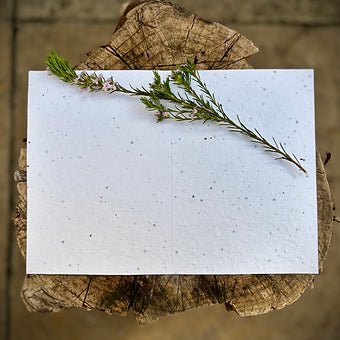 Plantable Seed Paper Birthday Card: Floral Handmade Card - Erika's Whimsical Art