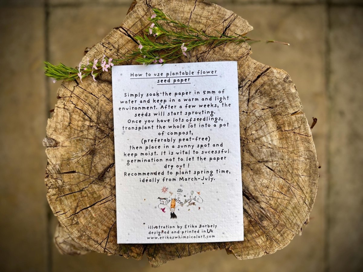 Plantable Seed Paper Card Birthday: Floral Eco - Friendly Gift - Erika's Whimsical Art