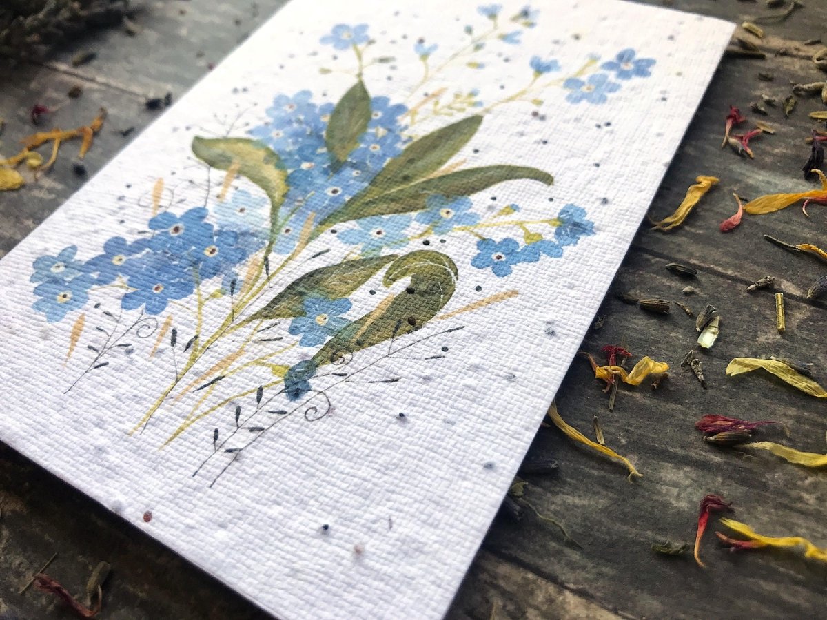 Plantable Seed Paper Birthday Card: Forget - Me - Not Watercolor Floral Art - Erika's Whimsical Art