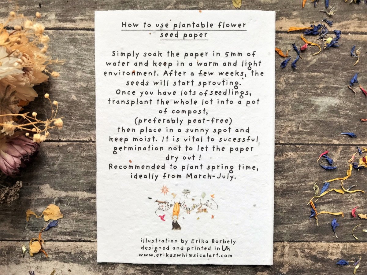 Plantable Seed Paper Birthday Card: Woodland Flower Design - Erika's Whimsical Art
