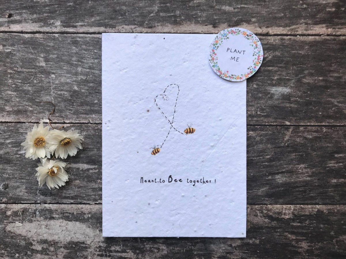 Plantable Seed Paper Card, Blank Inside,Valentines card,valentine's card,valentine's,valentines day gift for him,valentines day gift for her - Erika's Whimsical Art