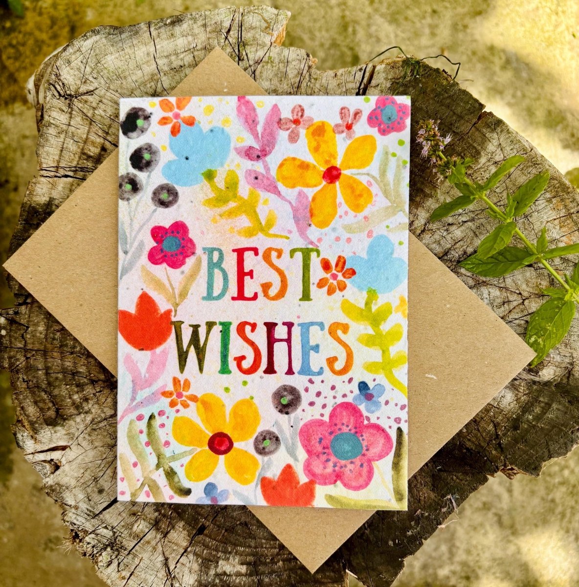 Plantable Seed Paper Card: Floral Birthday Card with Recycled Envelope - Erika's Whimsical Art