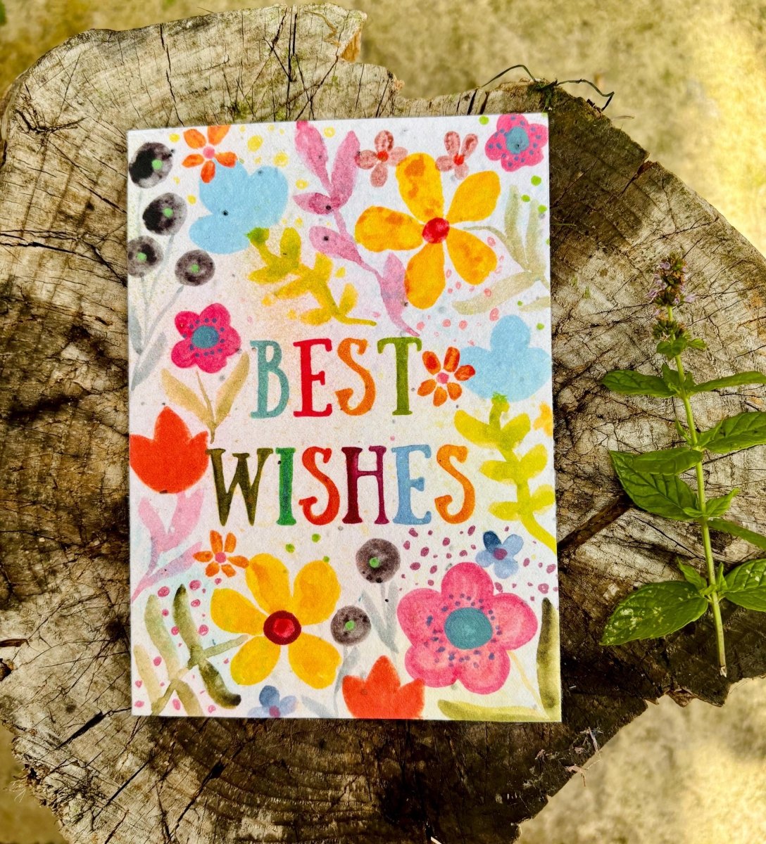 Plantable Seed Paper Card: Floral Birthday Card with Recycled Envelope - Erika's Whimsical Art