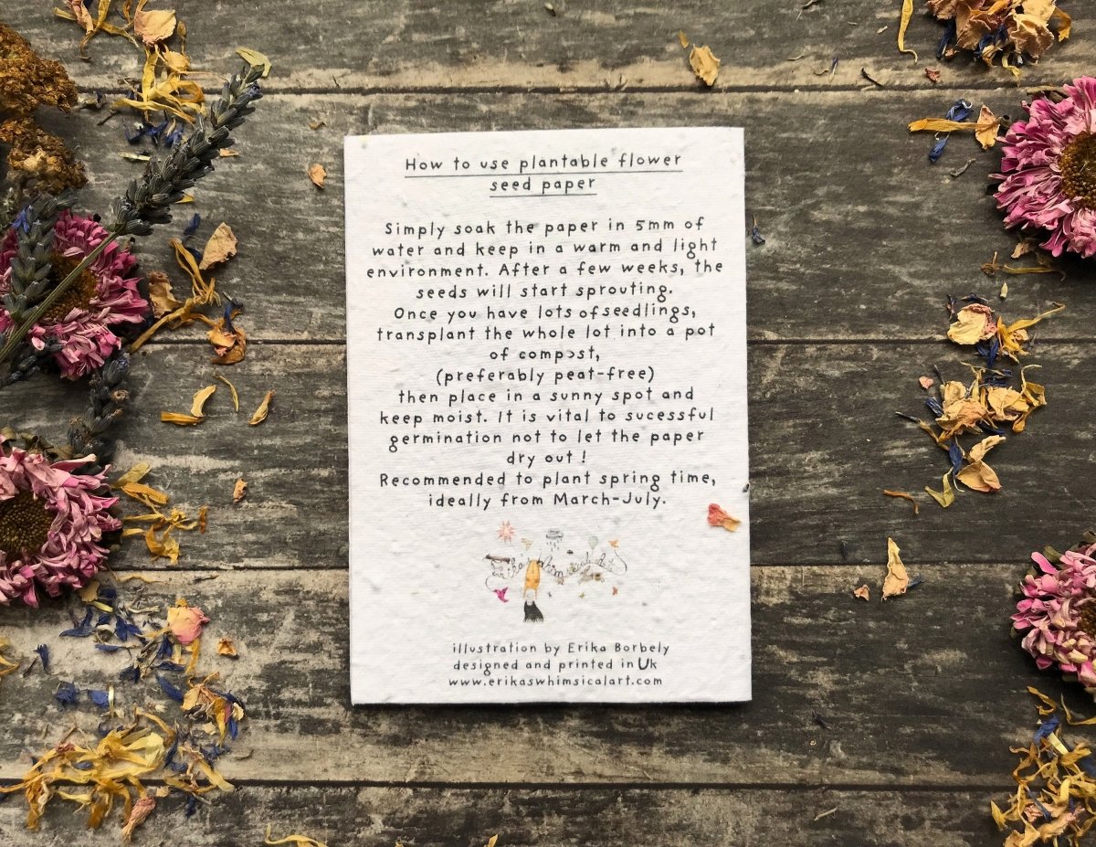 Plantable Seed Paper Card: Sunflower Watercolor, Eco - Friendly Floral Art - Erika's Whimsical Art