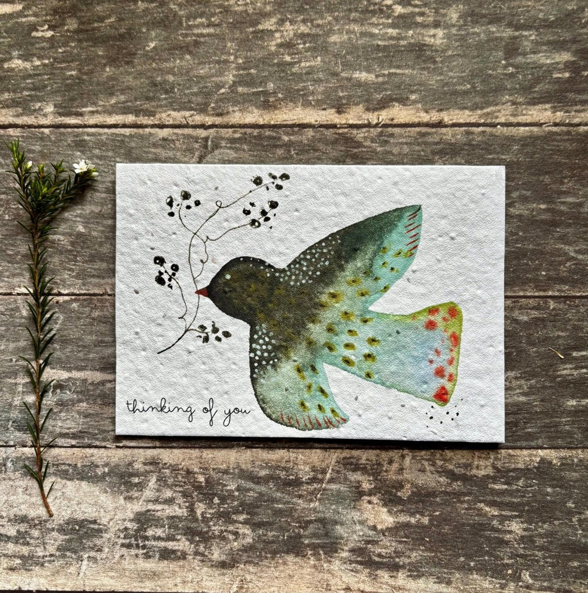 Plantable Seed Paper Card – Thinking of You Bird, Wildflower Seeds - Erika's Whimsical Art