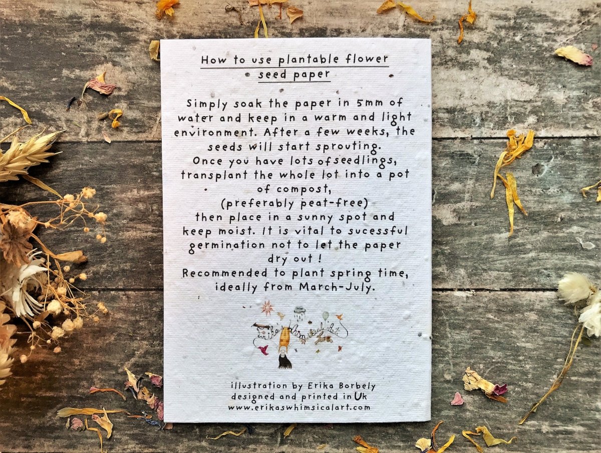 Plantable Seed Paper Card: Watercolour Flower Birthday Card - Erika's Whimsical Art