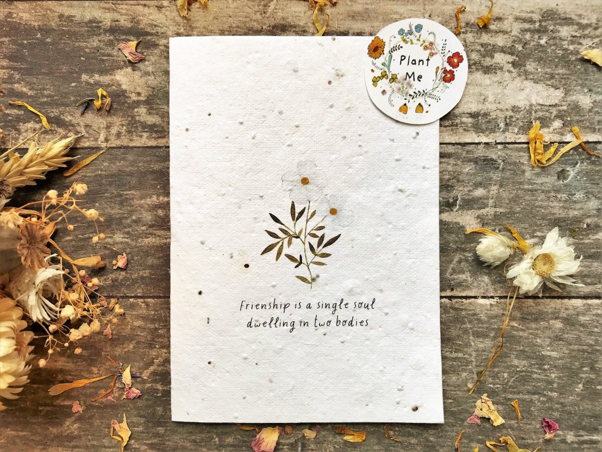 Plantable Seed Paper Card: Watercolour Flower Birthday Card - Erika's Whimsical Art