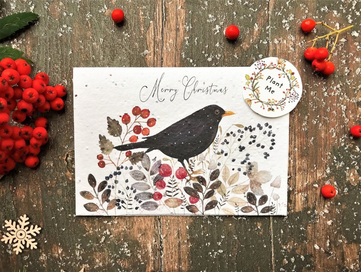 Plantable Seed Paper Christmas Card: Black Bird Illustration, Eco - Friendly Handmade Card - Erika's Whimsical Art