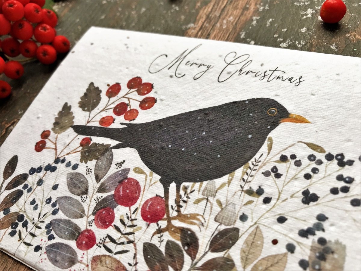 Plantable Seed Paper Christmas Card: Black Bird Illustration, Eco - Friendly Handmade Card - Erika's Whimsical Art