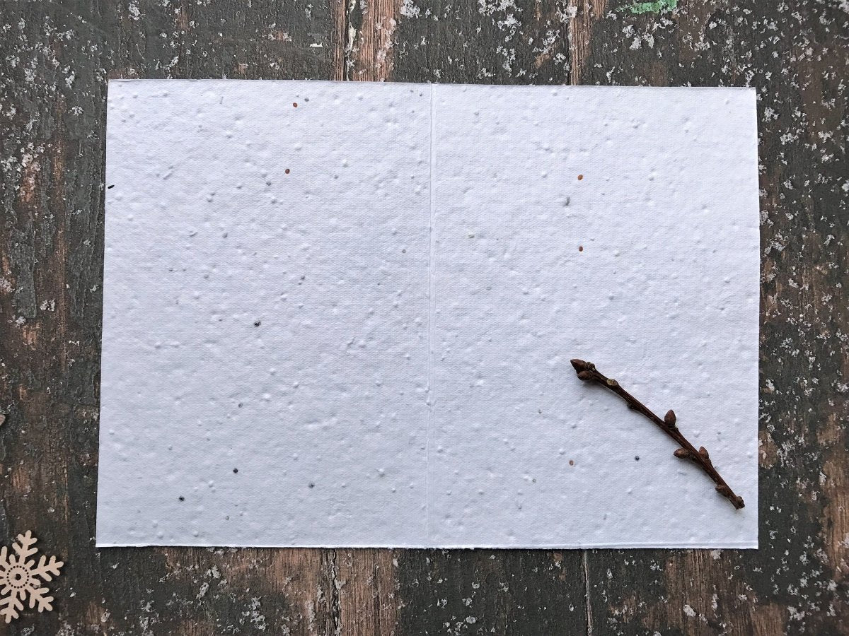 Plantable Seed Paper Christmas Card: Fox Illustration, Eco - Friendly - Erika's Whimsical Art