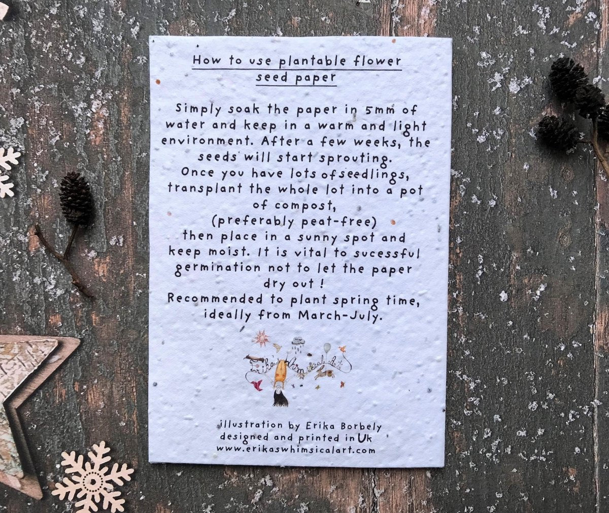 Plantable Seed Paper Christmas Card: Fox Illustration, Eco - Friendly - Erika's Whimsical Art