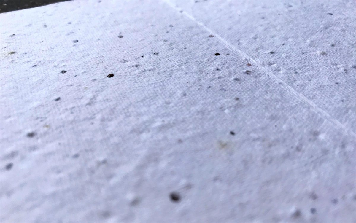 Plantable Seed Paper Christmas Card: Illustrated Hare Design, Eco - Friendly - Erika's Whimsical Art