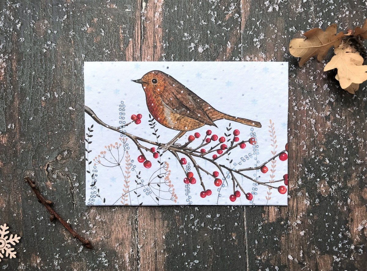 Plantable Seed Paper Christmas Card: Illustrated Robin Design - Erika's Whimsical Art