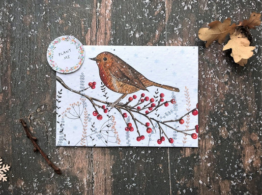 Plantable Seed Paper Christmas Card: Illustrated Robin Design - Erika's Whimsical Art
