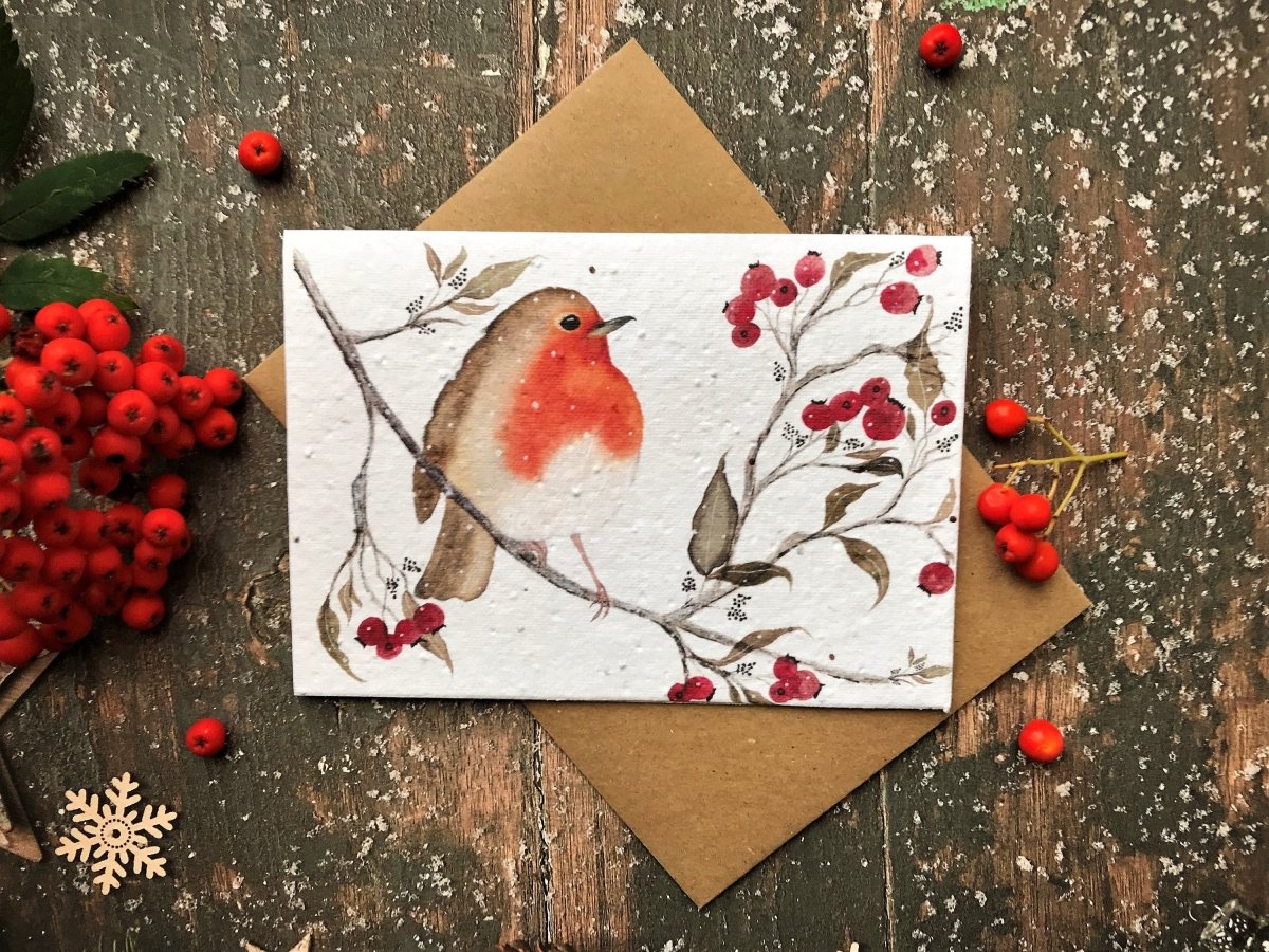 Plantable Seed Paper Christmas cards,Illustrated Christmas card,Christmas Cards,Robin Illustration,Eco Friendly cards, Robin Redbreast bird - Erika's Whimsical Art