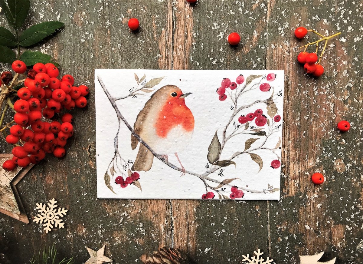 Plantable Seed Paper Christmas cards,Illustrated Christmas card,Christmas Cards,Robin Illustration,Eco Friendly cards, Robin Redbreast bird - Erika's Whimsical Art