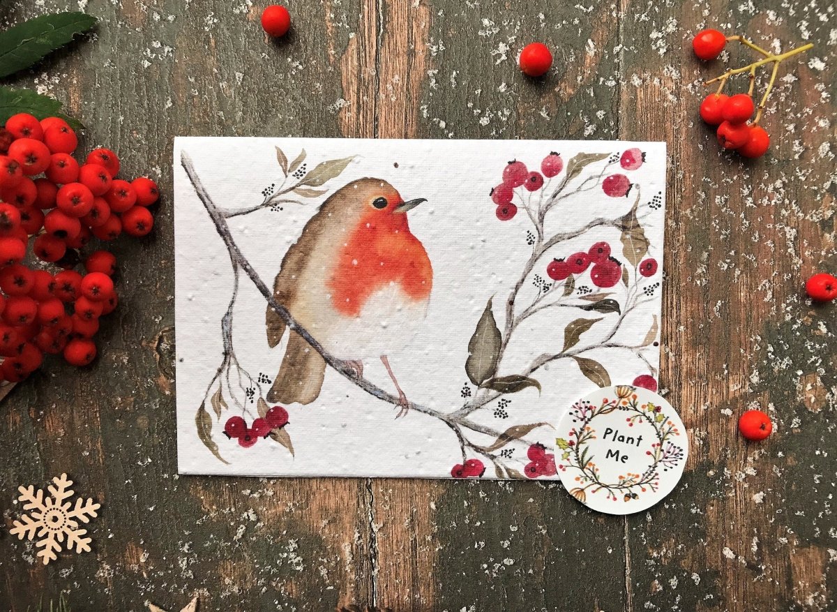 Plantable Seed Paper Christmas cards,Illustrated Christmas card,Christmas Cards,Robin Illustration,Eco Friendly cards, Robin Redbreast bird - Erika's Whimsical Art