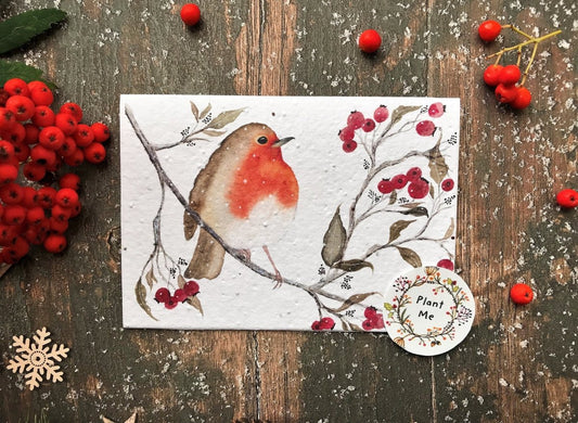 Plantable Seed Paper Christmas cards,Illustrated Christmas card,Christmas Cards,Robin Illustration,Eco Friendly cards, Robin Redbreast bird - Erika's Whimsical Art