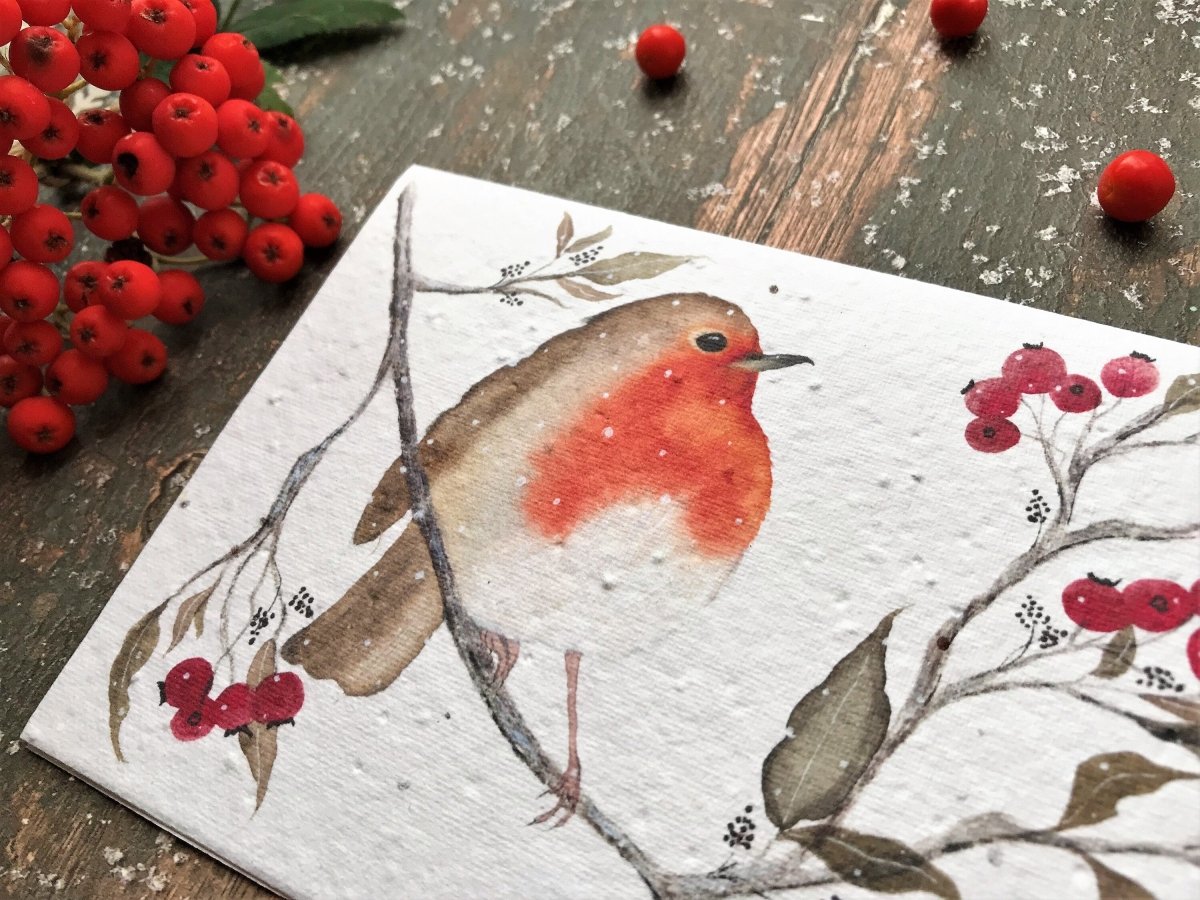 Plantable Seed Paper Christmas cards,Illustrated Christmas card,Christmas Cards,Robin Illustration,Eco Friendly cards, Robin Redbreast bird - Erika's Whimsical Art