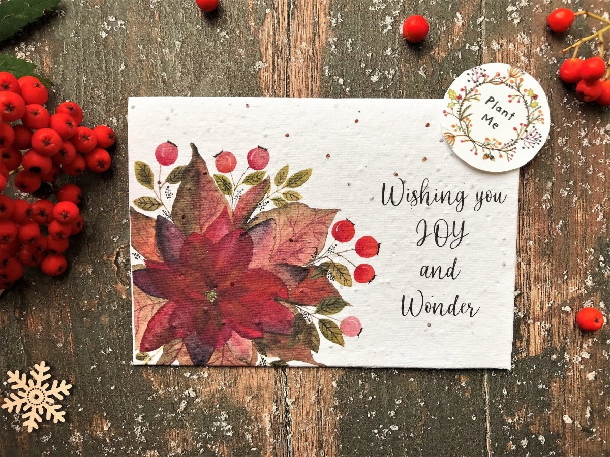 Plantable Seed Paper Christmas cards,Illustrated Christmas card,Christmas poinsettia Illustration,Eco Friendly cards,Christmas floral card - Erika's Whimsical Art