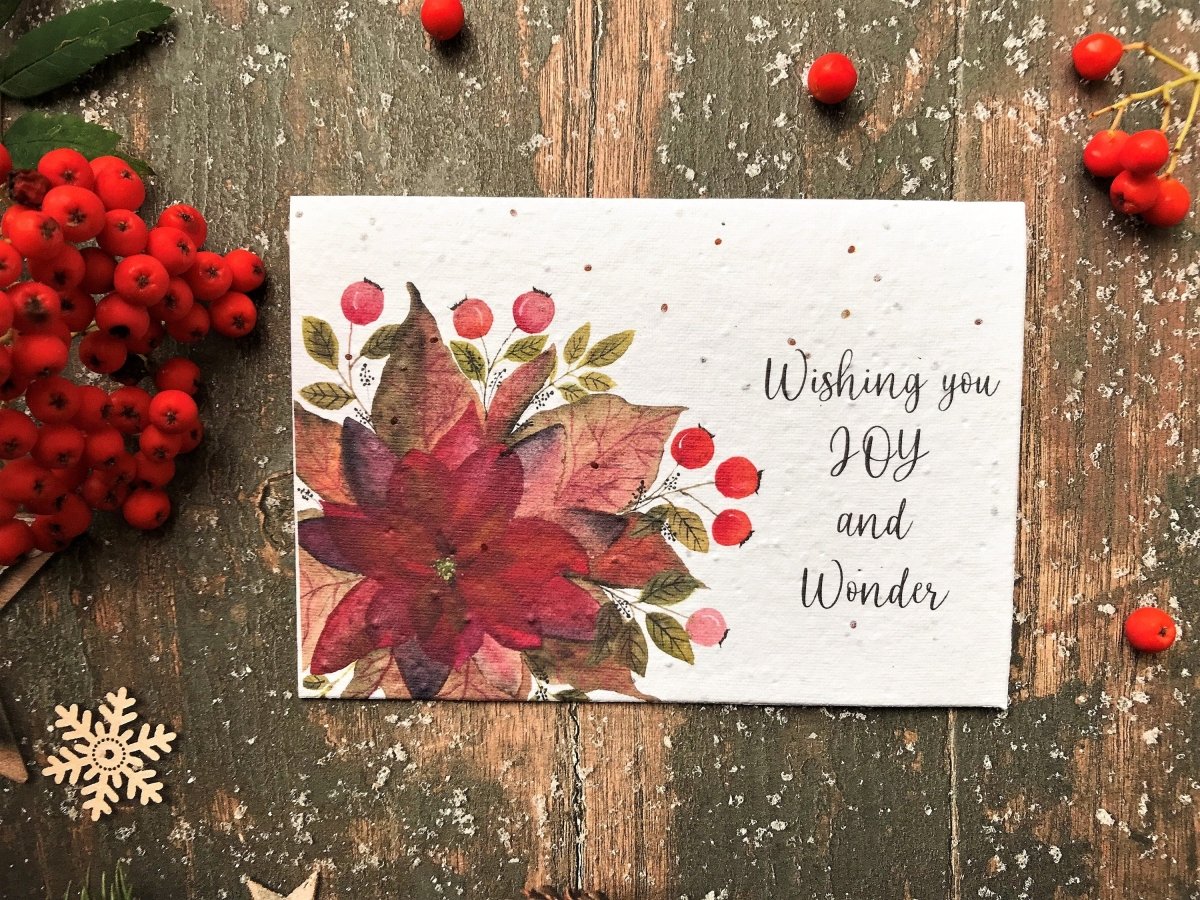 Plantable Seed Paper Christmas cards,Illustrated Christmas card,Christmas poinsettia Illustration,Eco Friendly cards,Christmas floral card - Erika's Whimsical Art