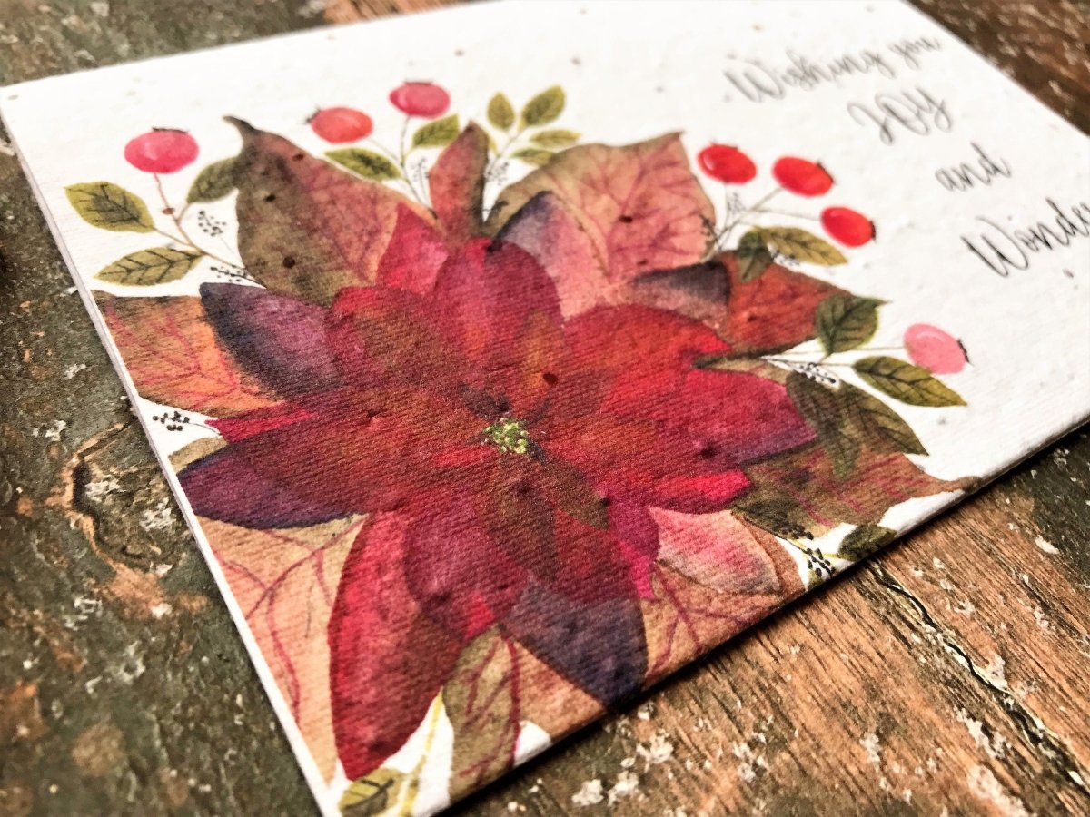 Plantable Seed Paper Christmas cards,Illustrated Christmas card,Christmas poinsettia Illustration,Eco Friendly cards,Christmas floral card - Erika's Whimsical Art