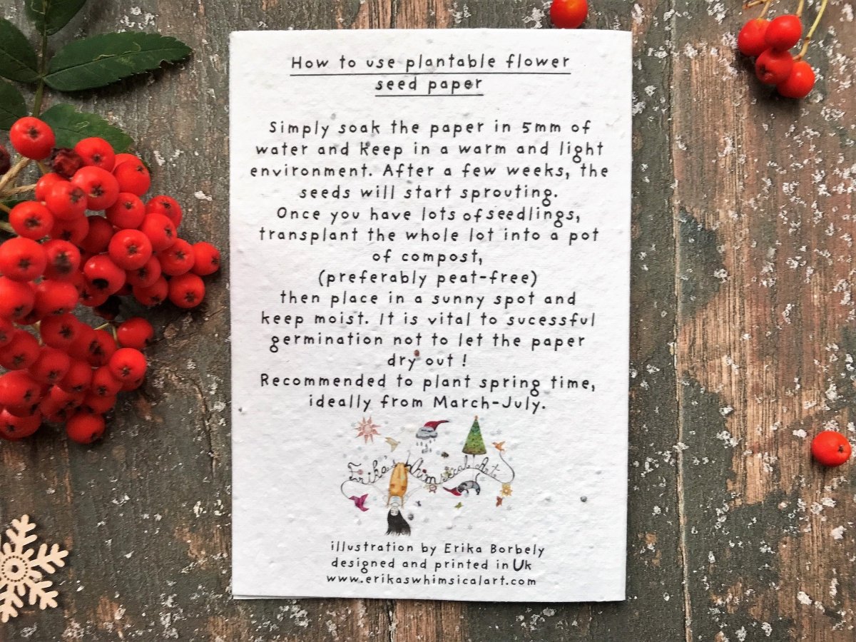 Plantable Seed Paper Christmas cards,Illustrated Christmas card,Holly card,Christmas Holly Illustration,Eco Friendly cards,Christmas floral - Erika's Whimsical Art