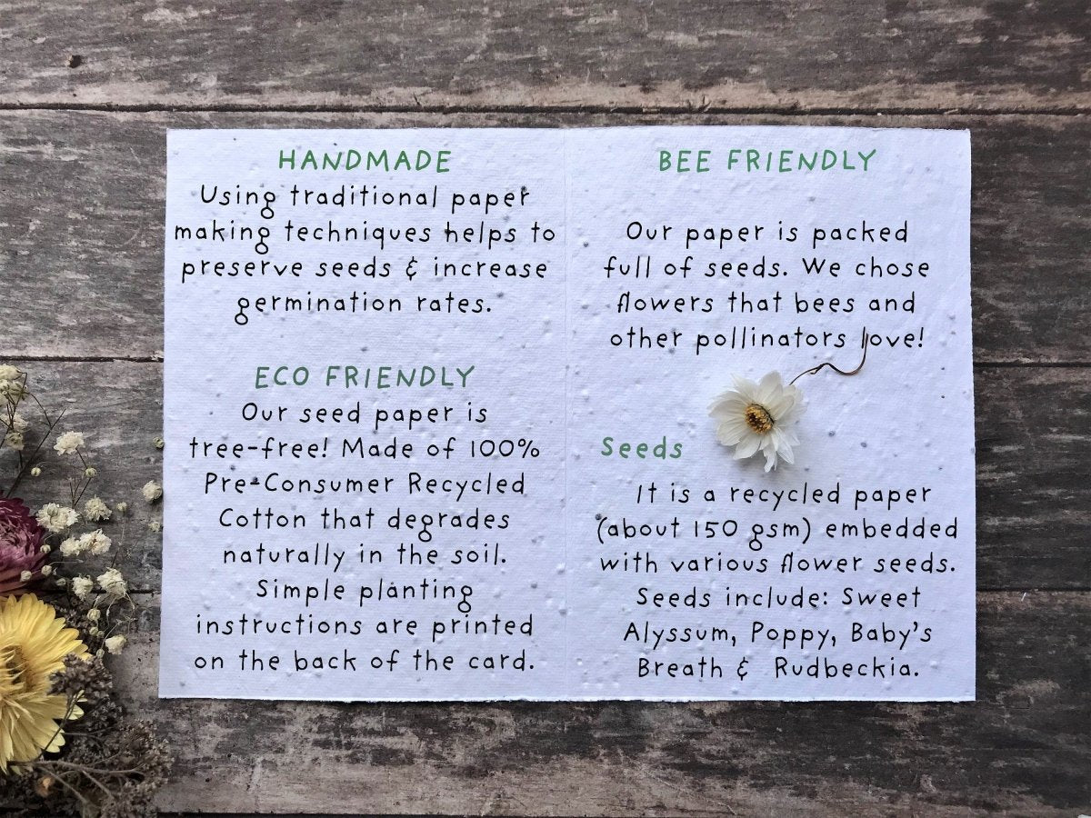 Plantable Seed Paper Dad Card – Botanical Wildflower Father's Day Gift - Erika's Whimsical Art