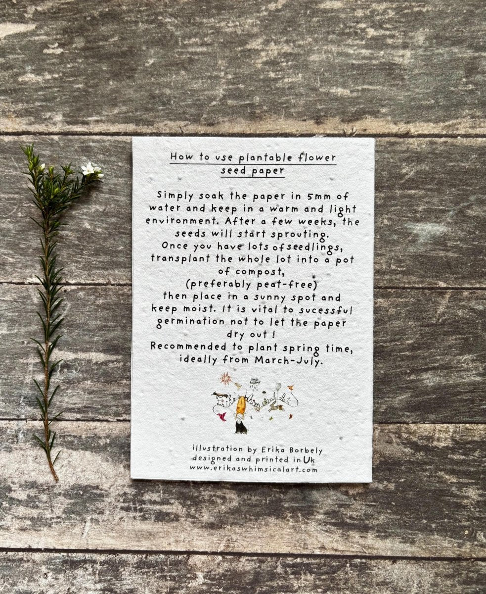 Plantable Seed Paper Dad Card – Botanical Wildflower Father's Day Gift - Erika's Whimsical Art