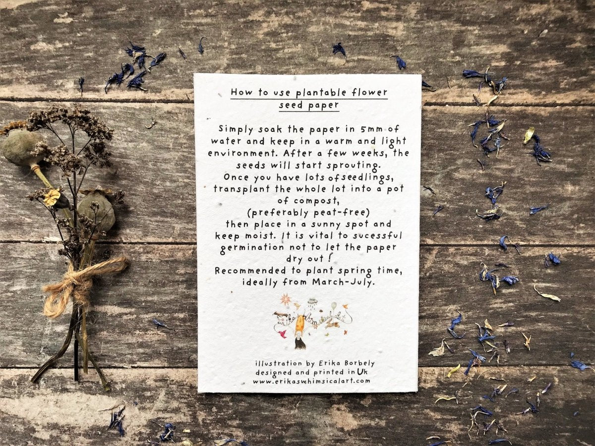 Plantable Seed Paper Dad Card: Eco - Friendly Birthday Card - Erika's Whimsical Art