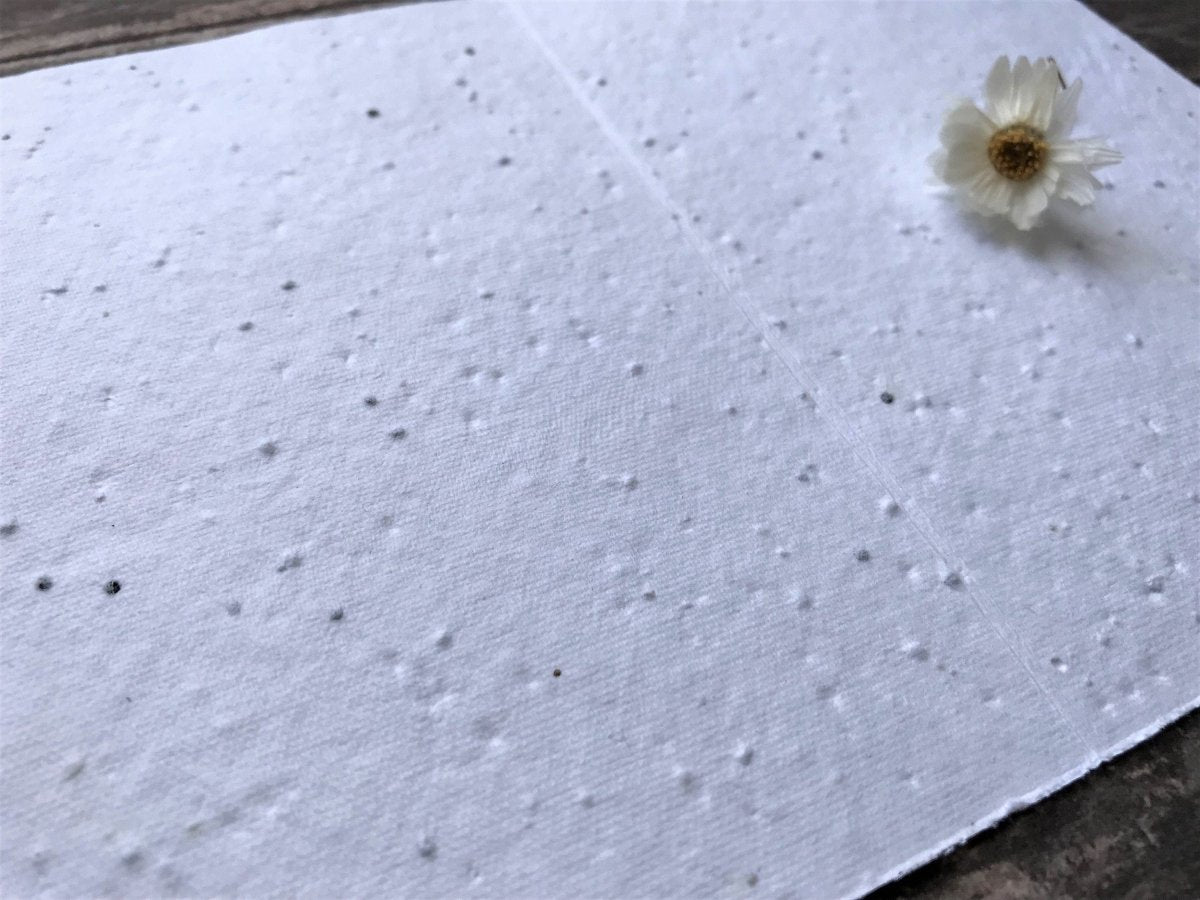 Plantable Seed Paper Easter Card, Blank Inside, Easter Eggs greeting card, Spring flowers, Easter Cards, Happy Easter Cards, - Erika's Whimsical Art