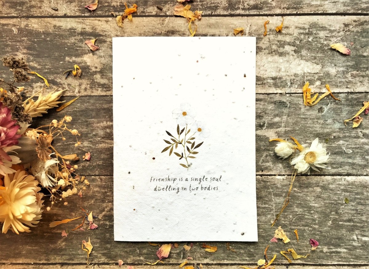 Plantable Seed Paper Friend Card: Eco - Friendly Greeting - Erika's Whimsical Art