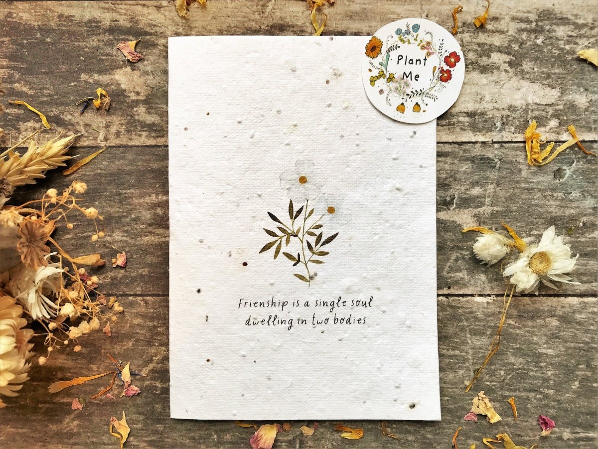 Plantable Seed Paper Friend Card: Eco - Friendly Greeting - Erika's Whimsical Art