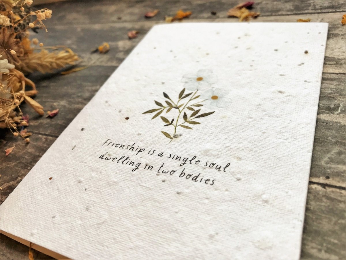 Plantable Seed Paper Friend Card: Eco - Friendly Greeting - Erika's Whimsical Art