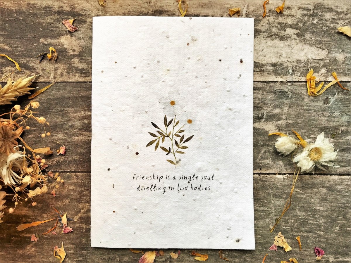 Plantable Seed Paper Friend Card: Eco - Friendly Greeting - Erika's Whimsical Art