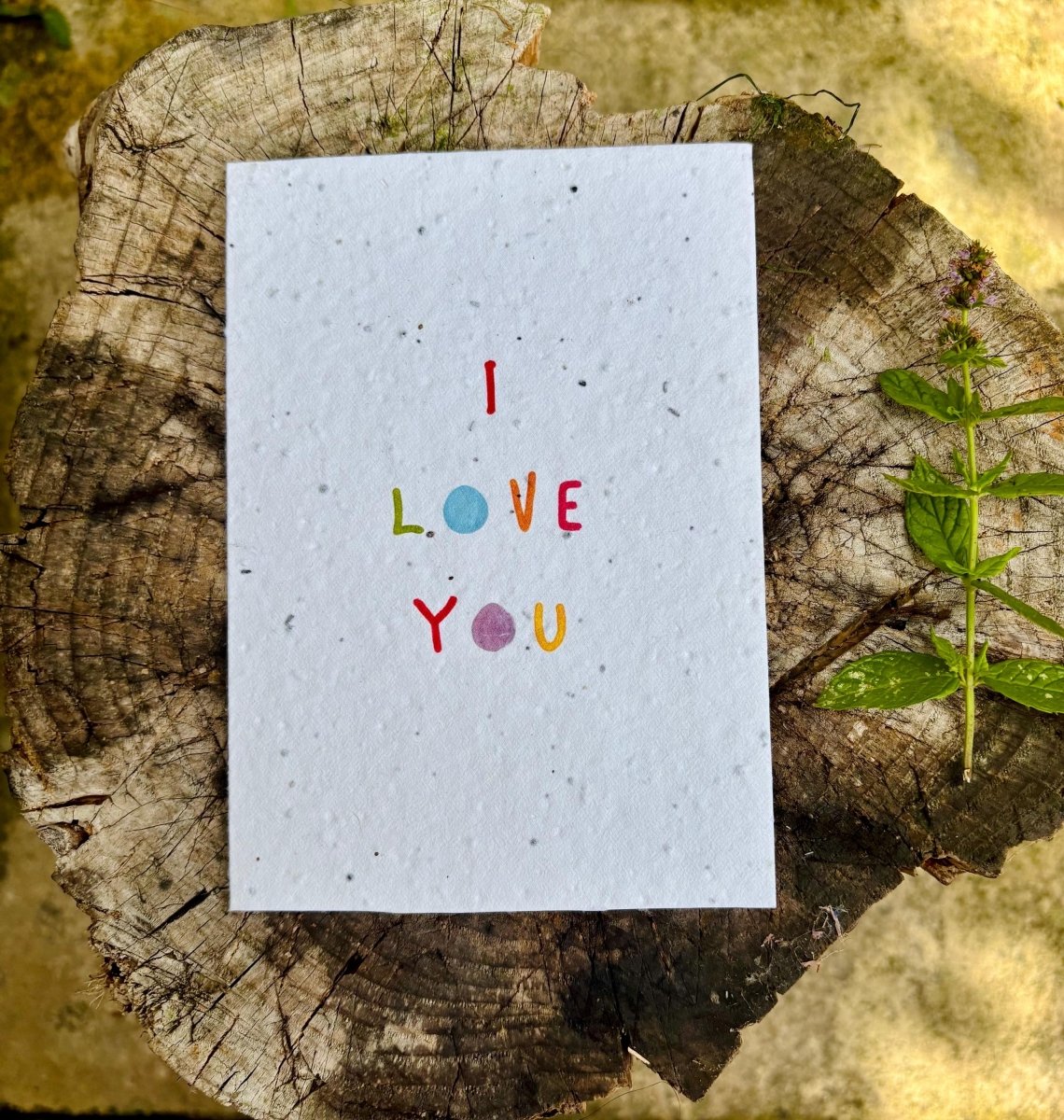 Plantable Seed Paper Love Card: Eco - Friendly Birthday, Anniversary Card - Erika's Whimsical Art