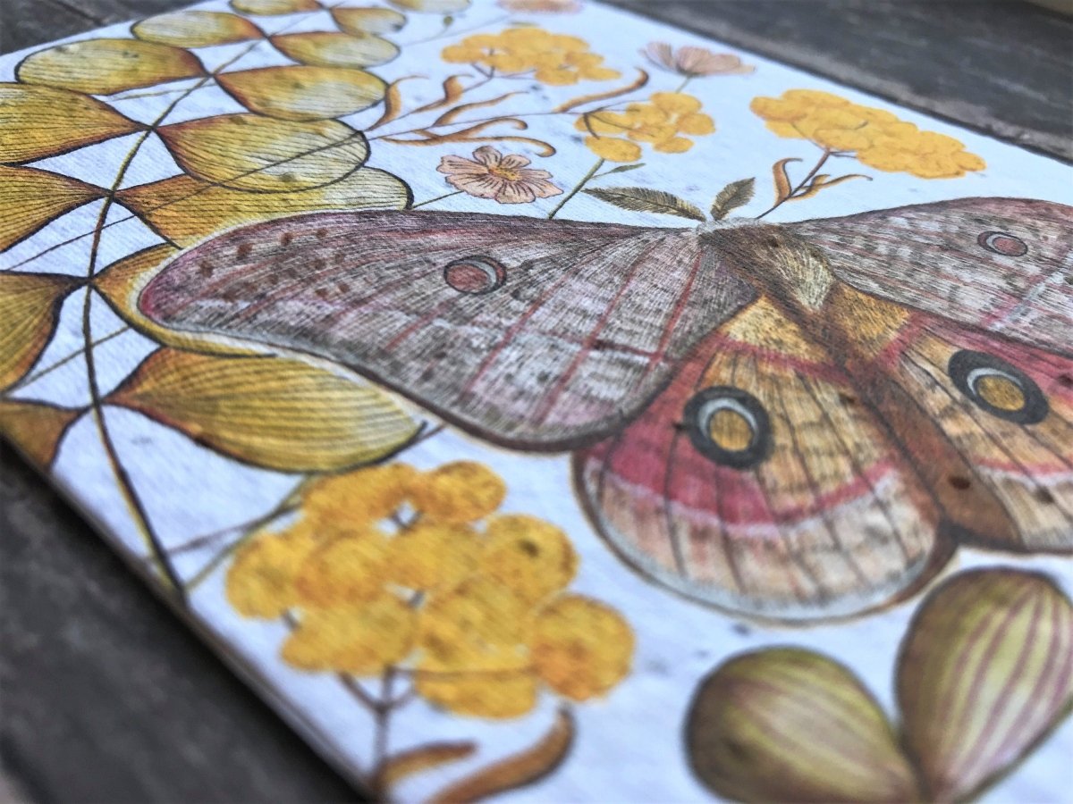 Plantable Seed Paper Moth Birthday Card: Flower Card - Erika's Whimsical Art