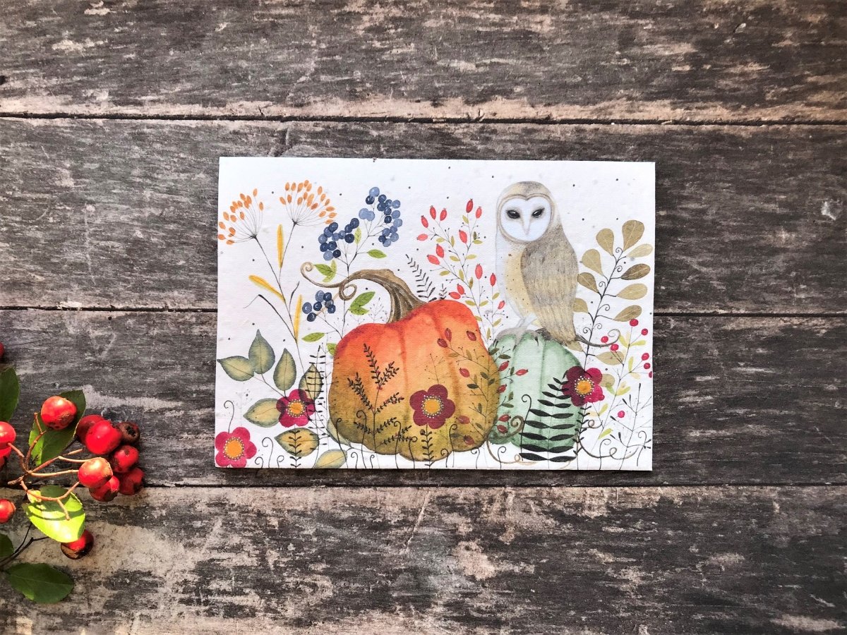 Plantable Seed Paper Owl Birthday Card: Autumn Woodland - Erika's Whimsical Art