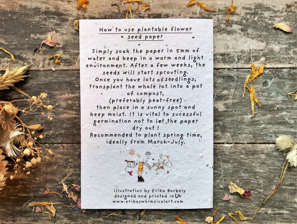 Plantable Seed Paper Thinking of You Card: Wildflower Sympathy - Erika's Whimsical Art